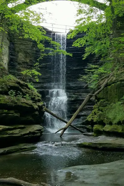 A waterfall down rocks into a pool with lots of greenery and moss